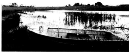 NIKON F-801S - Coughers de soleil - 1