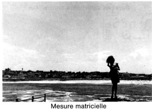 NIKON F-801S - Petits sujets sommes sur un fond bien éclairé - 2