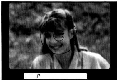 NIKON F-801S - MISE AU POINT MANUELLE PAR TELEMETRIE ELECTRONIQUE - 2