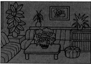 NIKON F-801S - SITUATIONS PARTICULIERES DE MISE AU POINT - 1