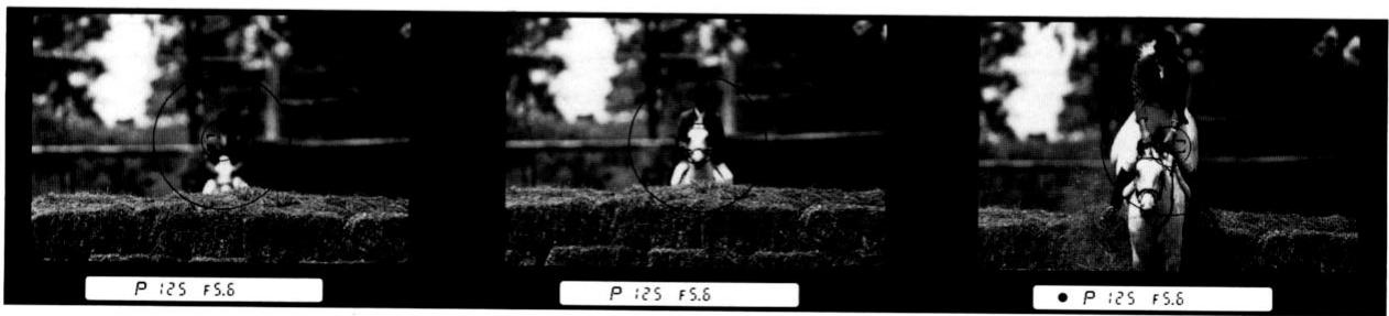 NIKON F-801S - Déclenchement auto par présélection de la mise au point - 2