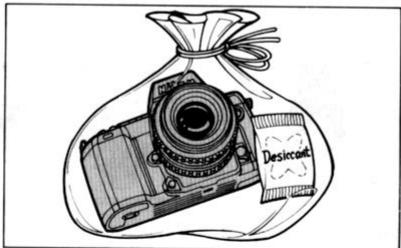 NIKON F-801S - Précautions importantes - 4