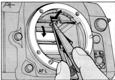 NIKON F-801S - COMPATIBILITE D'ACCESSOIRES - 2