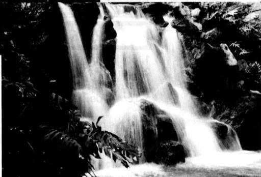 NIKON F-801S - MODE D'EXPOSITION AUTO A PRIORITE VITESSE - 2