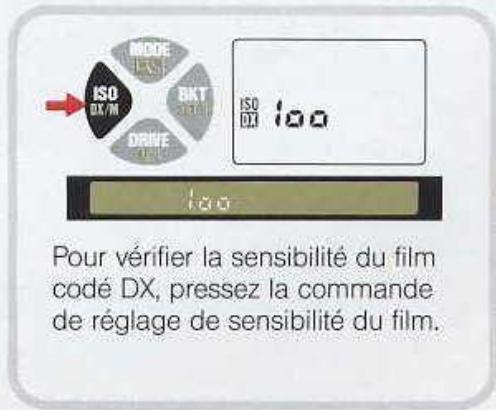 NIKON F601 - Controle de tension de la PILE - 8