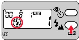 NIKON LITE TOUCH ZOOM 100ED-QD - Press the 44 button until “ 44 ” appears on the LCD panel. - 2