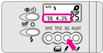 AUTO '01 4.25 DATE TITLE SEL ADJUST