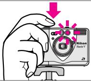 Nikon Auster V