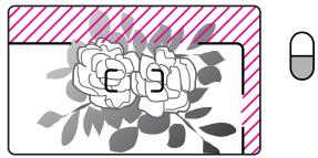 NIKON NUVIS V - For taking subjects such as close-ups of flowers: - 1