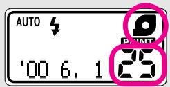 AUTO '00 6.1