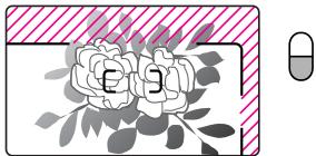 NIKON NUVIS V - Zum Beispiel für Blumenaufnahmen - 1