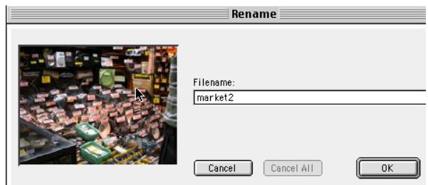 NIKON FOTOSTATION EASY - Pour garder trace de vos images - 3