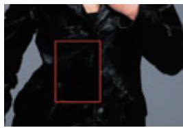 NIKON COOLSCAN V ED - Une qualité d'image étonnante - 1