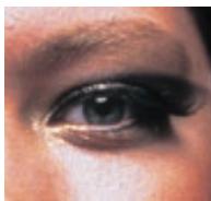 NIKON COOLSCAN V ED - La qualité et la simplicité combinée - 2