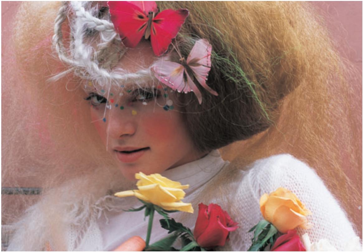 NIKON COOLSCAN V ED - CHARGEUR DE DIAPOS SF-210 (optionnel) - 2