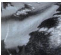 NIKON COOLSCAN V ED - Une qualité d'image étonnante - 2