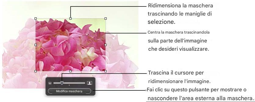 APPLE NUMBERS - Per ritagliare un'immagine utilizzando la maschera predefinita (forma rettangolare): - 1