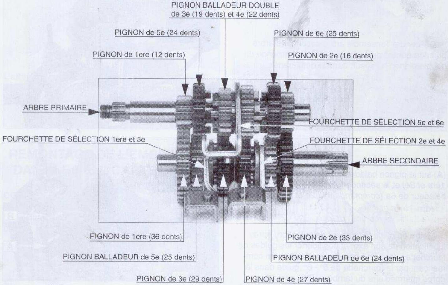 PEUGEOT XP6 SUPERMOTARD - REEMPLACEMENT DES ROULEMENTS ET DES JOINTS - 5
