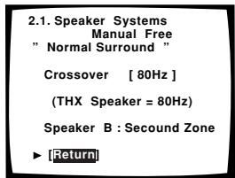 PIONEER VSA-AX10I-S - 10 - 1
