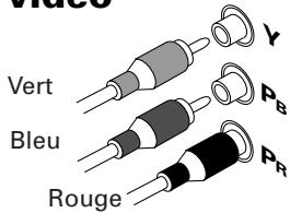 Vacc Vert Bleu Rouge pB pR