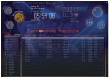 PIONEER DJS - Internet Function - 1