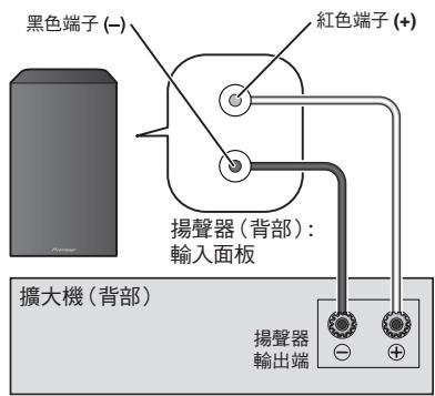 PIONEER S-81B-LR-K - 連接 - 1