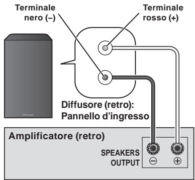 PIONEER S-81B-LR-K - Collegamenti - 1