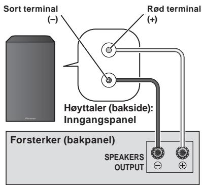 PIONEER S-81B-LR-K - Tilkoblinger - 1