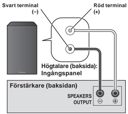 PIONEER S-81B-LR-K - Anslutningar - 1