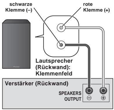 PIONEER S-81B-LR-K - Anschlüsse - 1