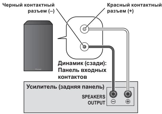 PIONEER S-81B-LR-K - Соединения - 1