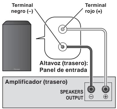 PIONEER S-81B-LR-K - Conexiones - 1
