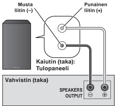 PIONEER S-81B-LR-K - Liitännät - 1