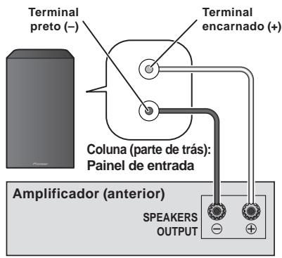 PIONEER S-81B-LR-K - Ligações - 1