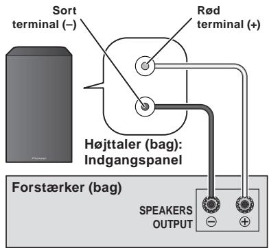 PIONEER S-81B-LR-K - Tilslutninger - 1