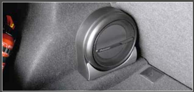 PIONEER TS-E130CI - COMPACT ET PRÉT À L'EMPLOI - 1