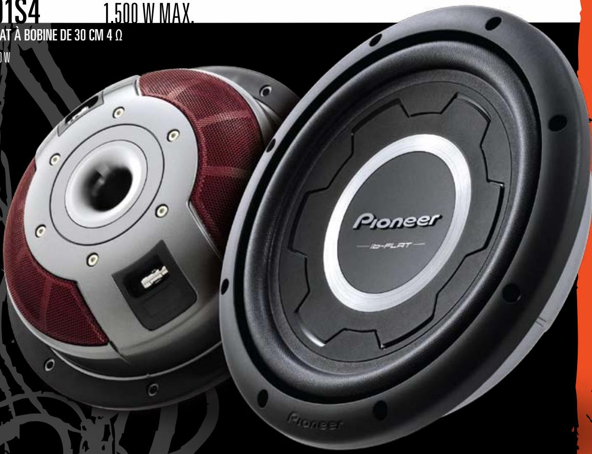 PIONEER TS-H1303 - S-SW3001S4 1.500 W MAX. - 1