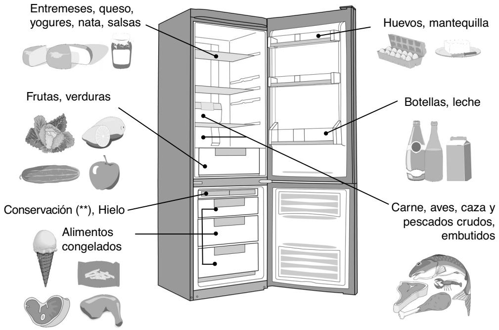 DE DIETRICH DKP821W - Colocacion de los alimentos en su frigorifico - 2
