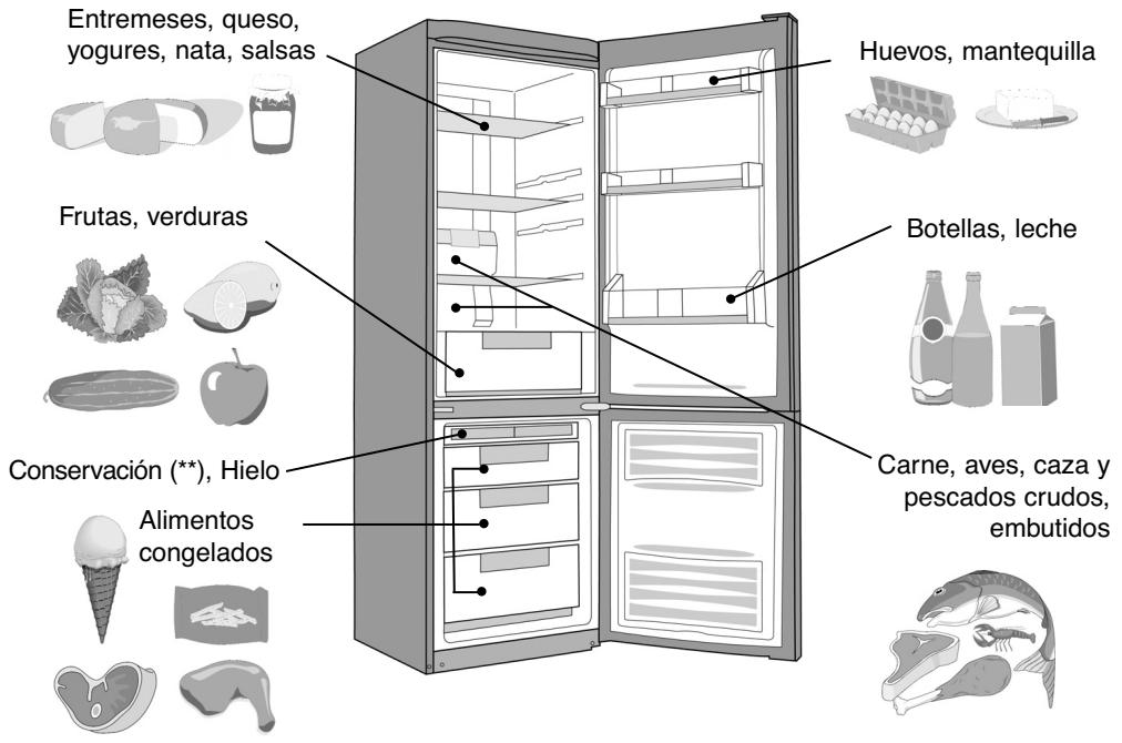 DE DIETRICH DKP833X - Colocación de los alimentos en su frigorífico - 2