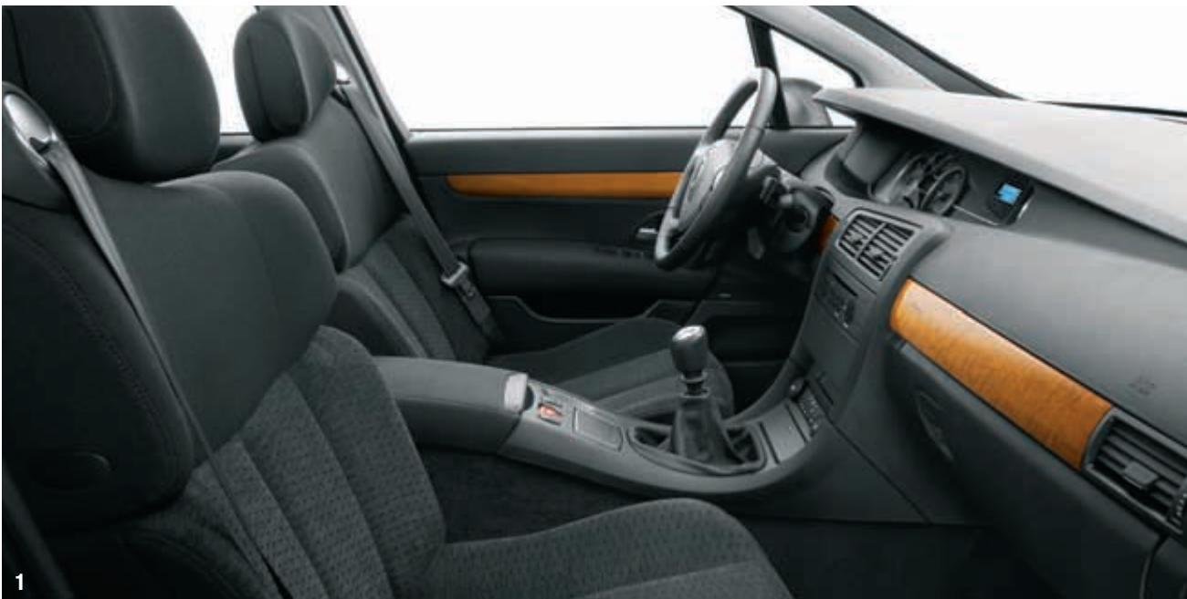 RENAULT VEL SATIS - CARMINAT - 2