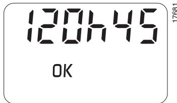 RENAULT KANGOO II PHASE I ELECTRIQUE - La durée du chauffage sera de une heures et demie. - 2