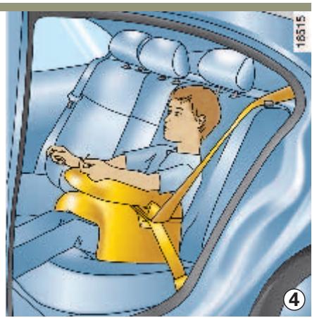 RENAULT LAGUNA 2 - Catégorie 2 (15 à 25 kg) - 1