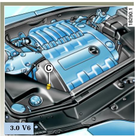 RENAULT LAGUNA 2 - Plaques d'identification - 5