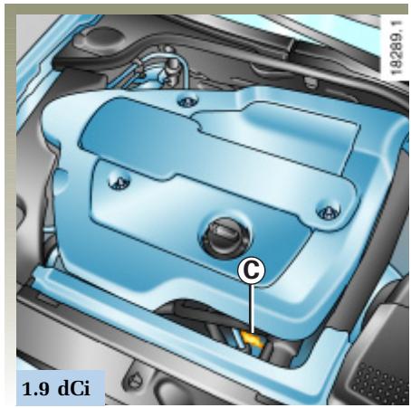 RENAULT LAGUNA 2 - Plaques d'identification - 3