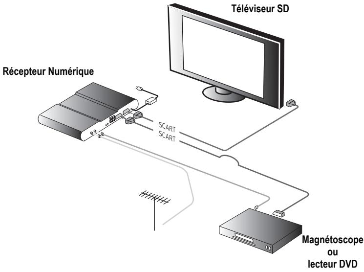 SAGEM DVR 84250B-T HD - 6-2-2 Raccordement à un téléviseur SD (Définition Standard) - 1