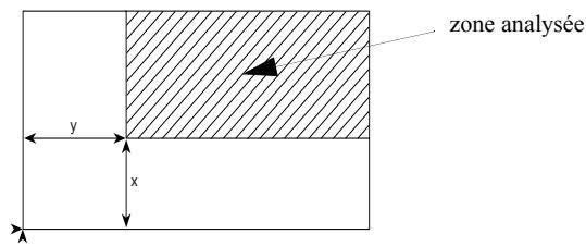 zone analysée y x