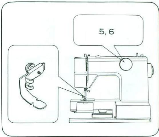 5, 6