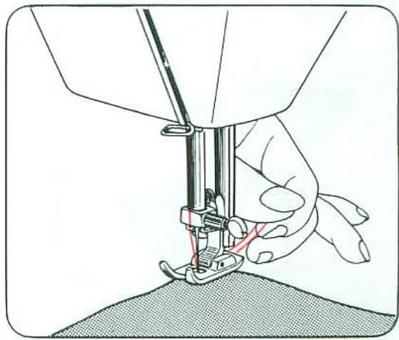 TOSHIBA 2444 - COUTURE COQUILLE - 2