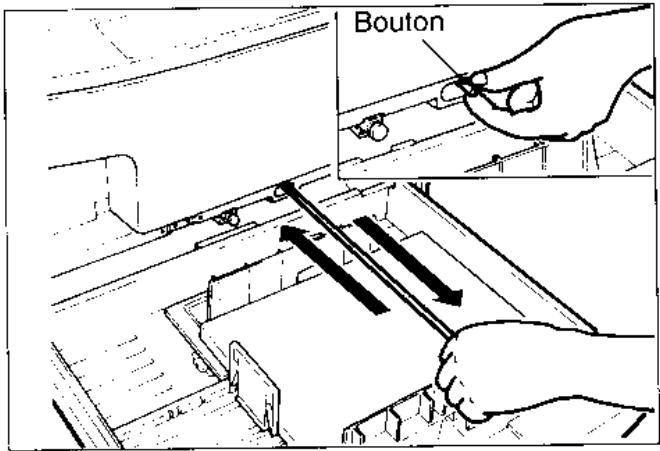 Bouton
