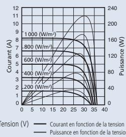 SHARP ND-220 - Courbes de caractéristiques ND-220 (E1F) - 1